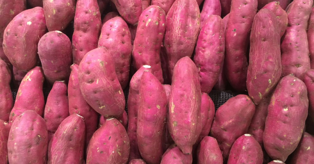 How to Grow Sweet Potatoes